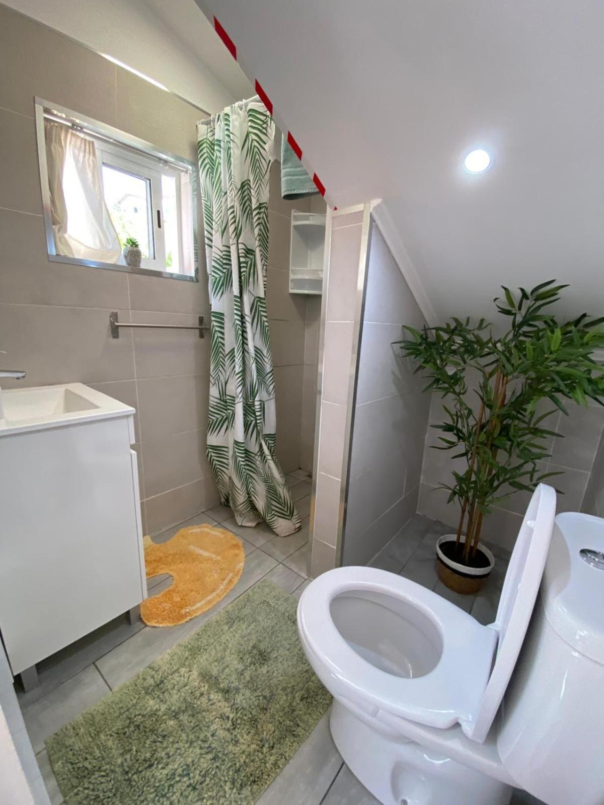 Seaside Serenity: Renovated With Ocean Views Apartment Ribeira Brava